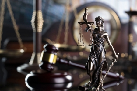 Constitution Literacy Program